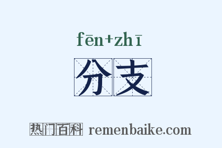 分支是什么意思的图片